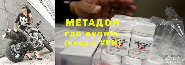 гашик Алексин