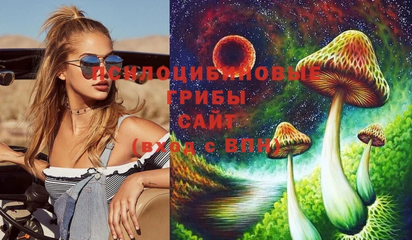 гашик Алексин