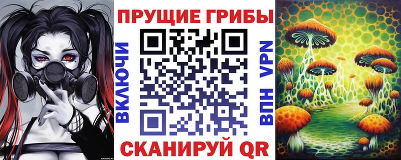 Галлюциногенные грибы мицелий  даркнет сайт  Пушкино 