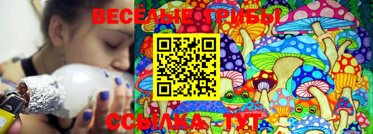 Галлюциногенные грибы прущие грибы  Галлюциногенные грибы Psilocybine cubensis  Пушкино  Вход с VPN 
