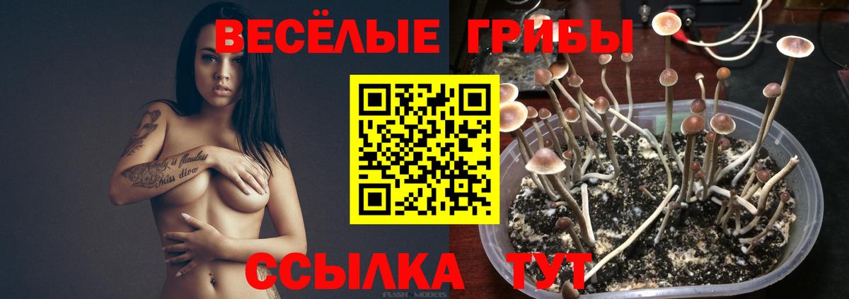 Галлюциногенные грибы мицелий Пушкино