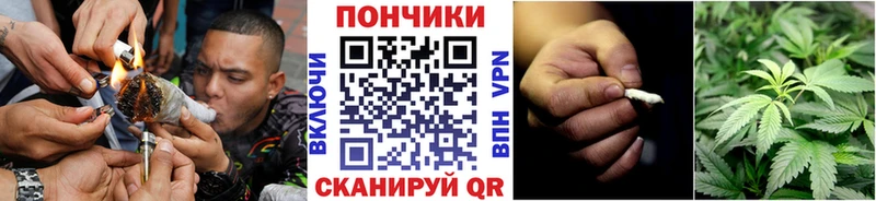 где купить наркоту  Пушкино  Шишки марихуана OG Kush 